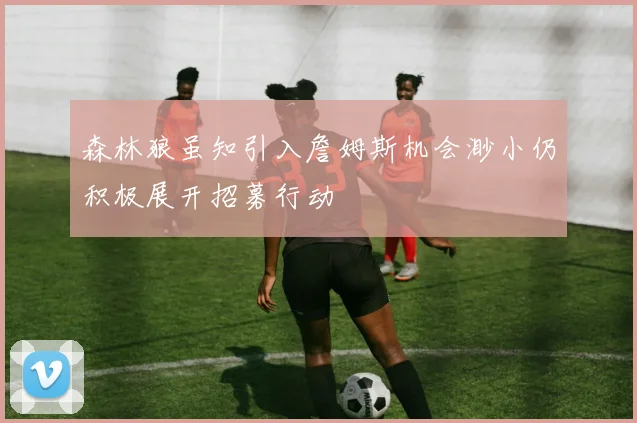 森林狼虽知引入詹姆斯机会渺小仍积极展开招募行动
